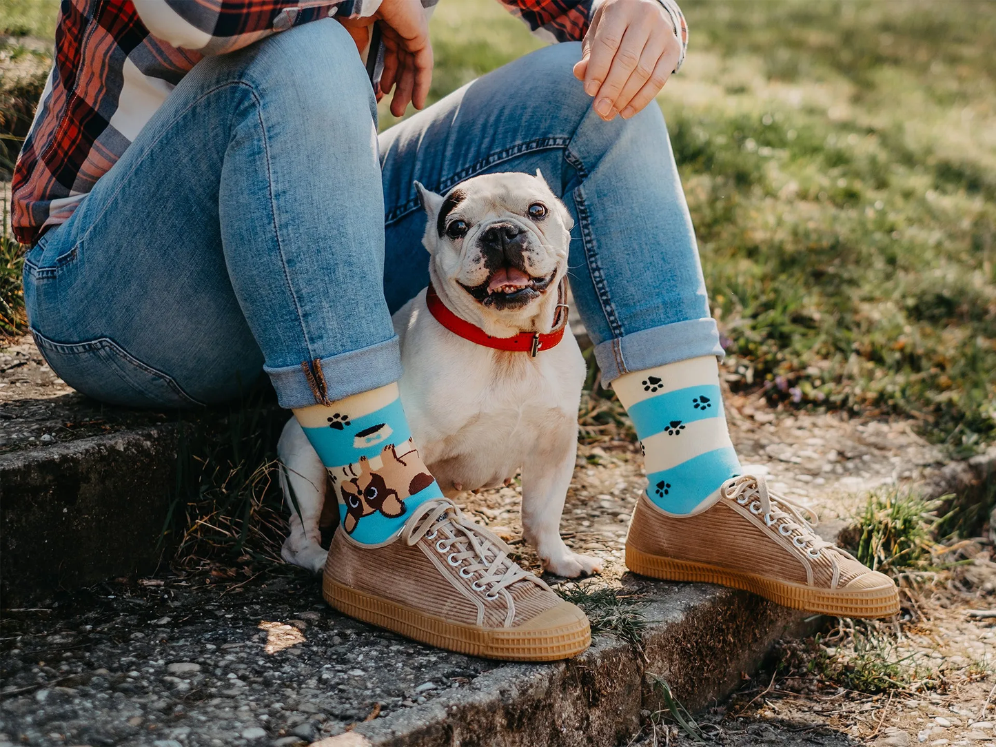 Chaussettes à motifs: Chien mignon