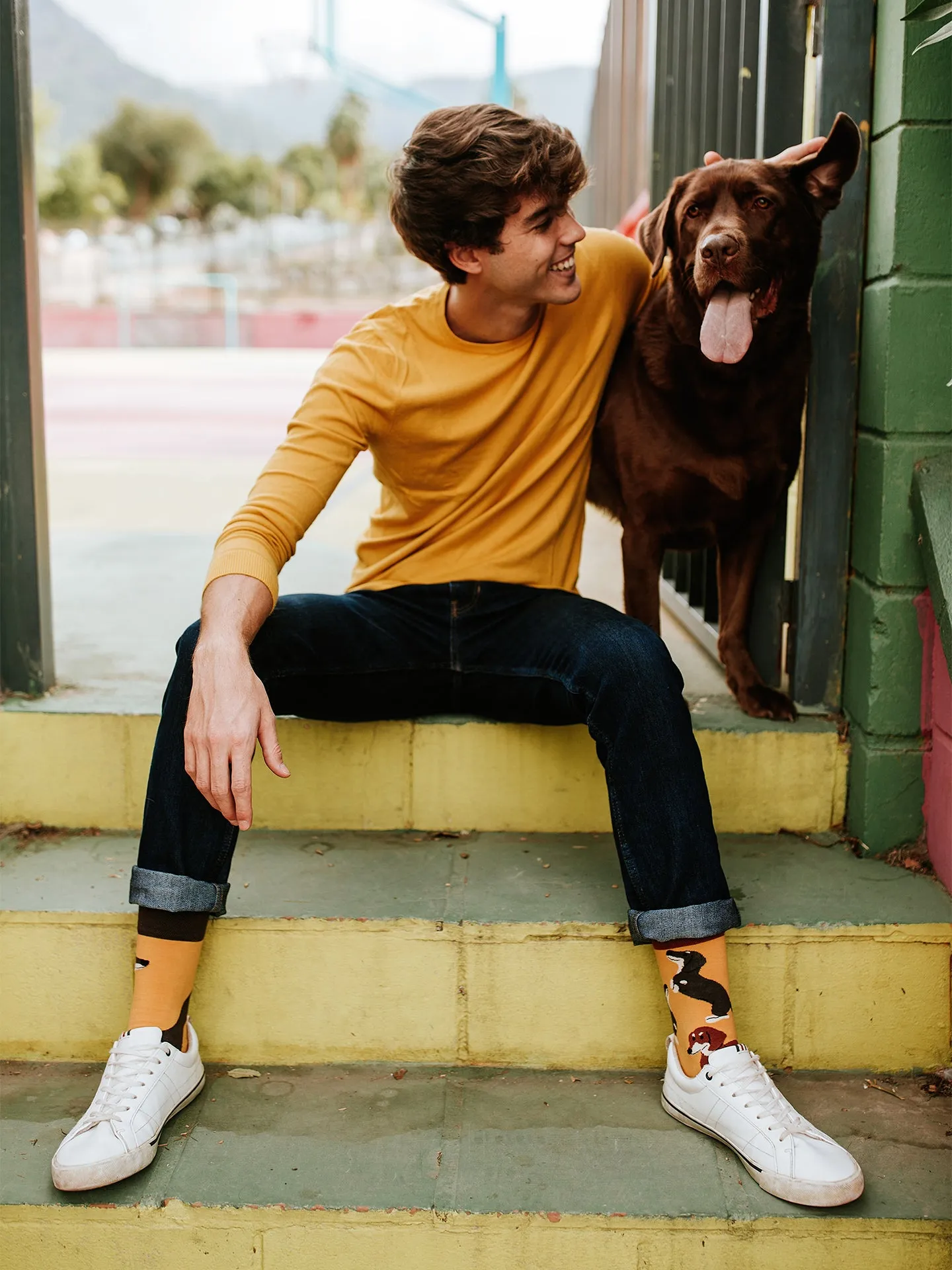 Chaussettes à motifs: Teckel mignon