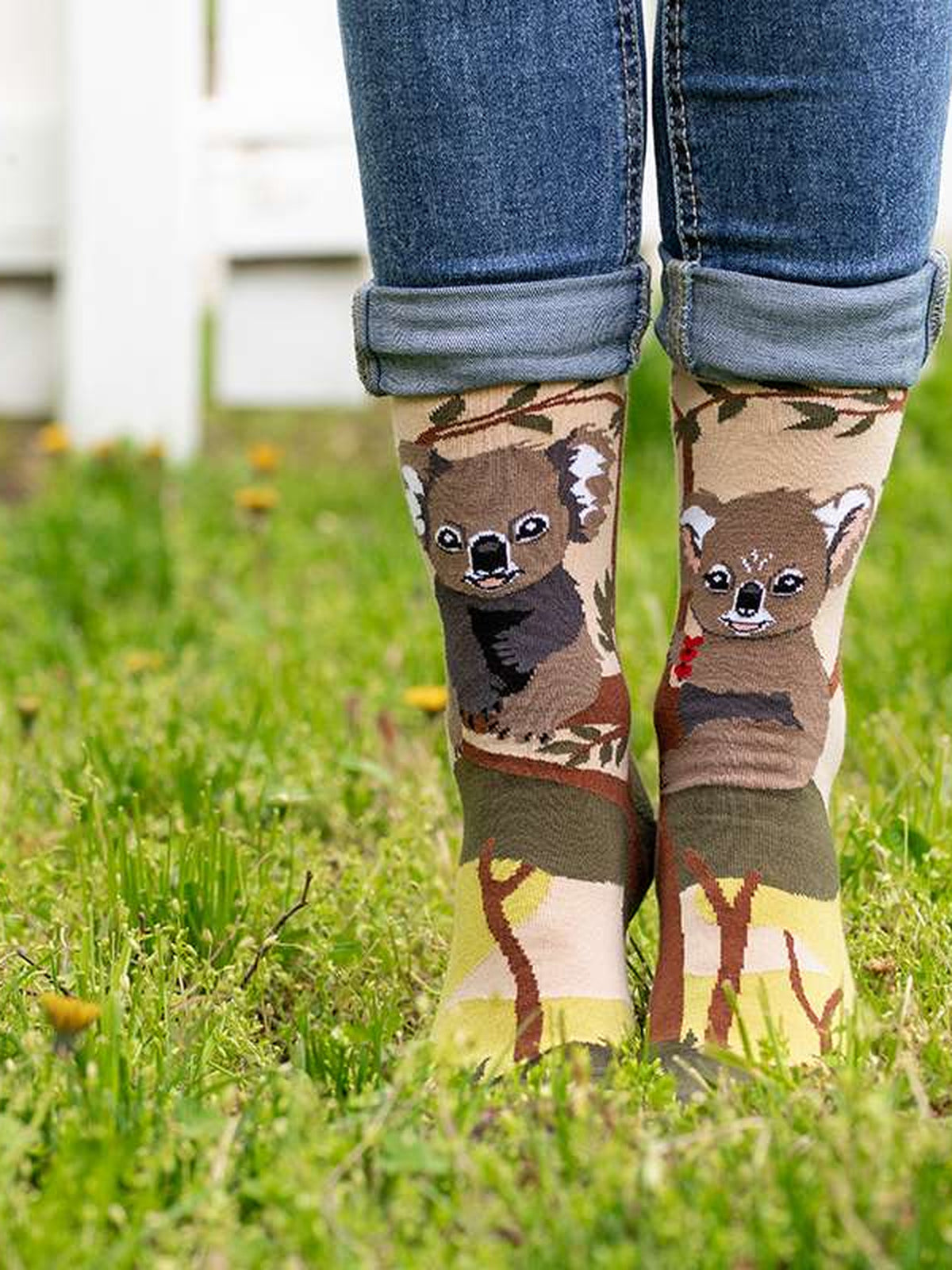 Chaussettes Arty : Koalas amoureux