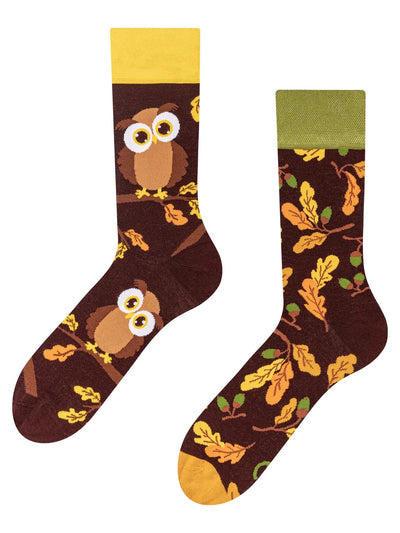 Chaussettes à motifs: Chouette curieuse