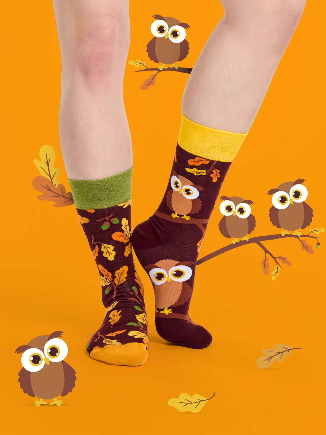 Chaussettes à motifs: Chouette curieuse