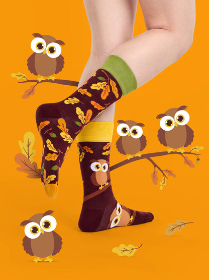 Chaussettes à motifs: Chouette curieuse