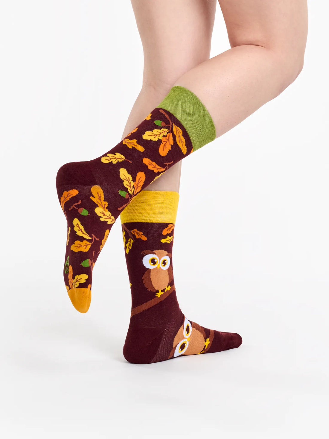 Chaussettes à motifs: Chouette curieuse