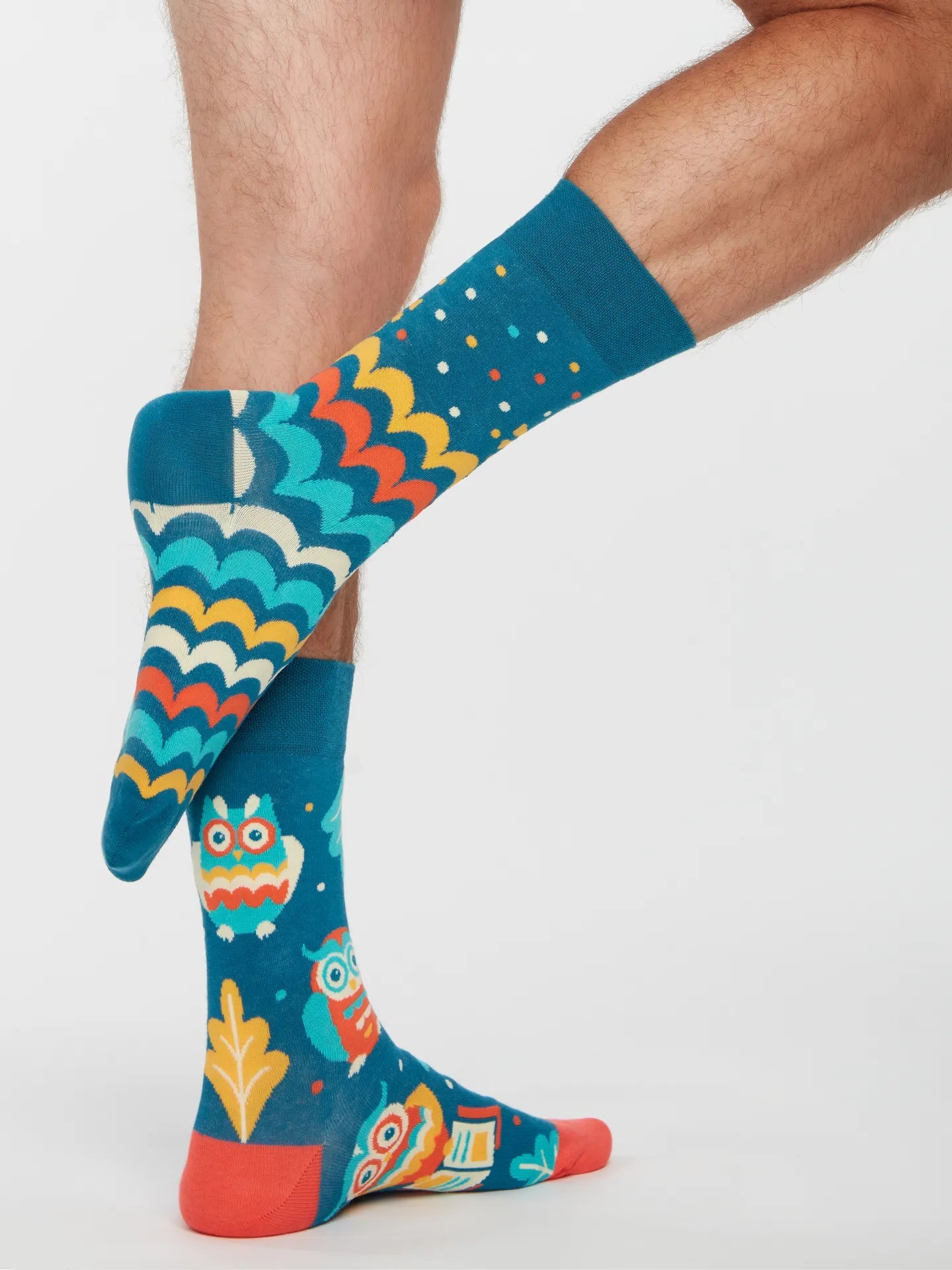 Chaussettes à motifs: La chouette intello