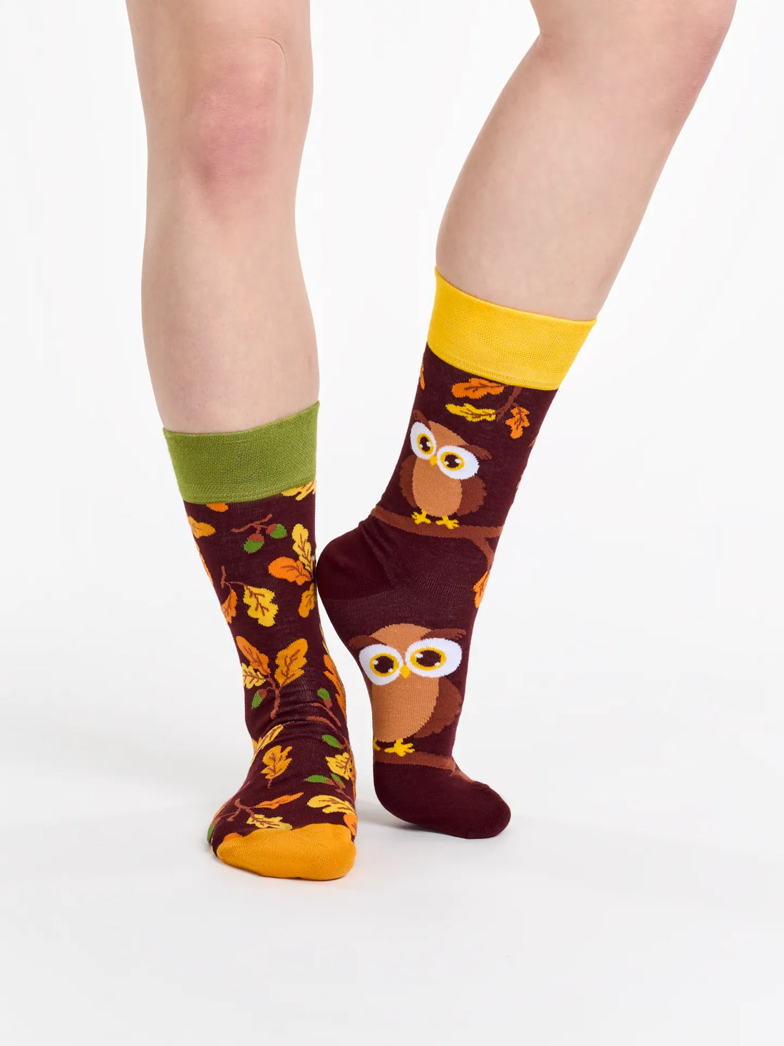 Chaussettes à motifs: Chouette curieuse
