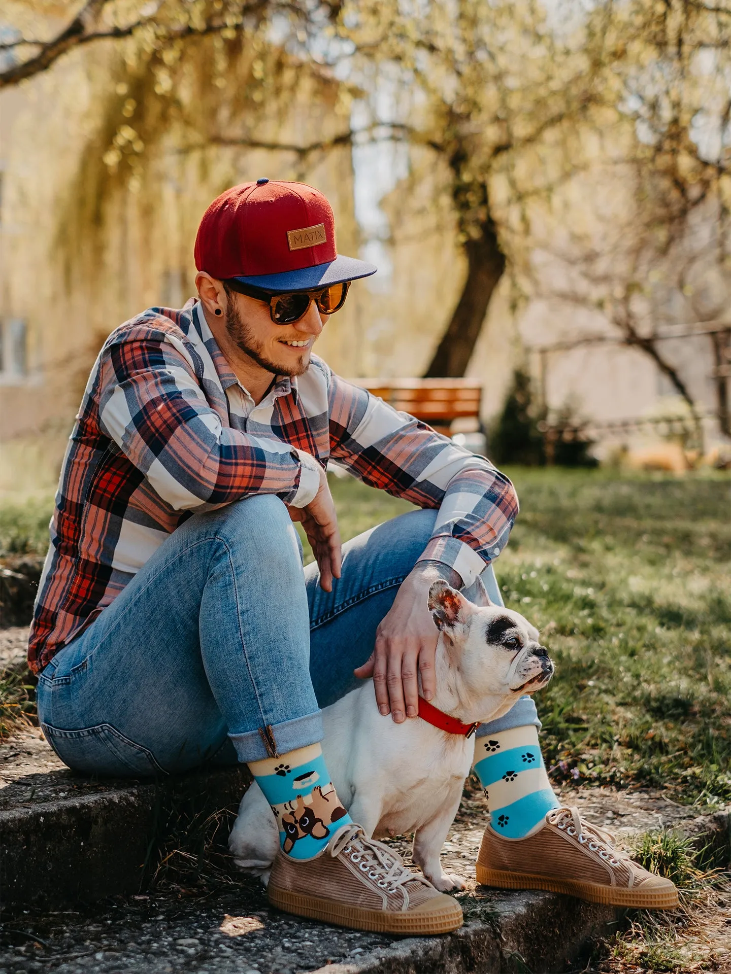 Chaussettes à motifs: Chien mignon