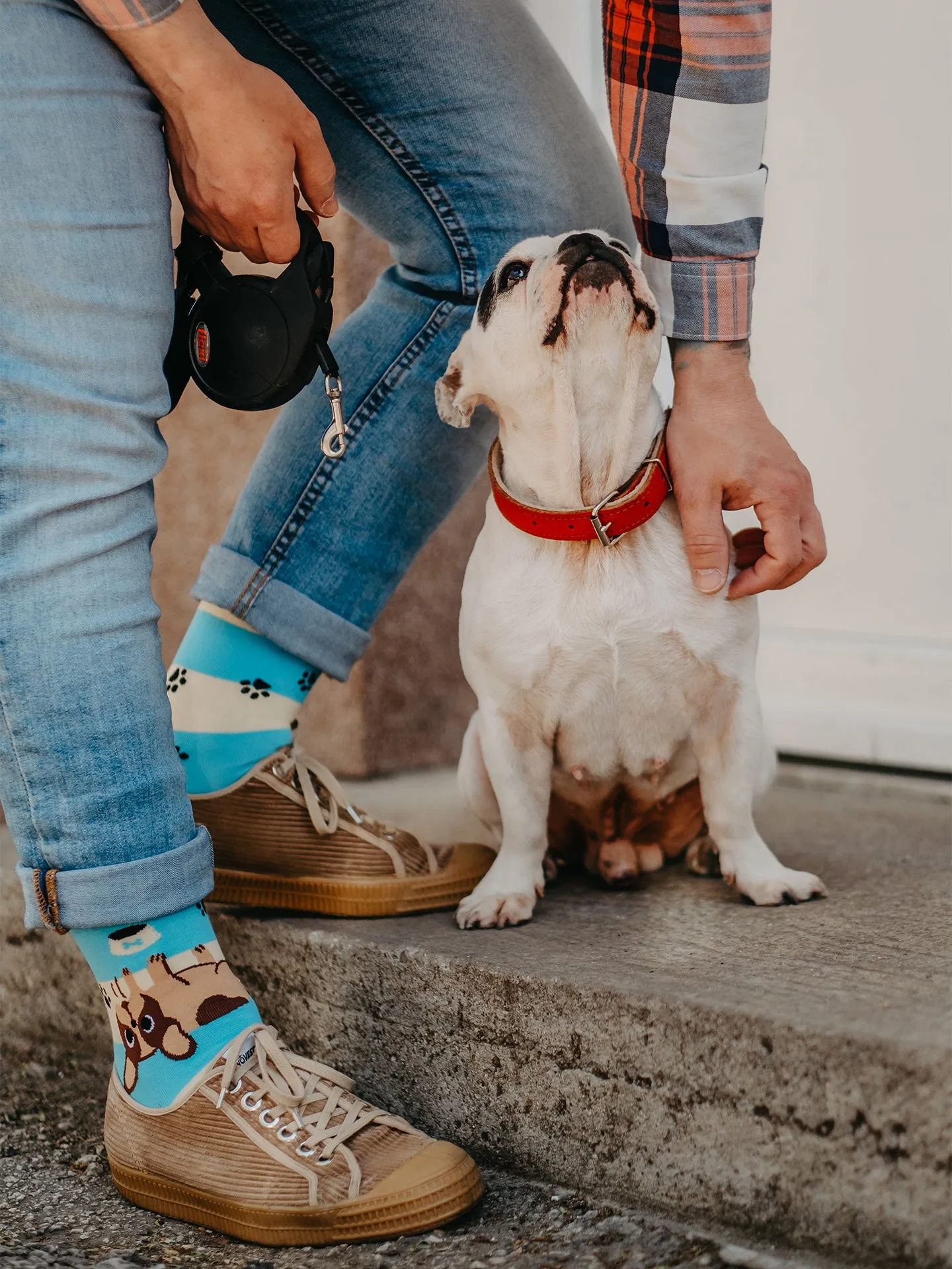 Chaussettes à motifs: Chien mignon