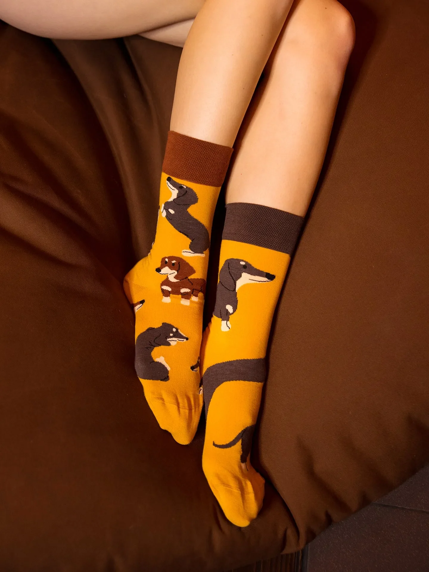 Chaussettes à motifs: Teckel mignon