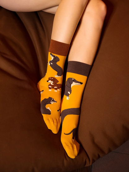 Chaussettes à motifs: Teckel mignon