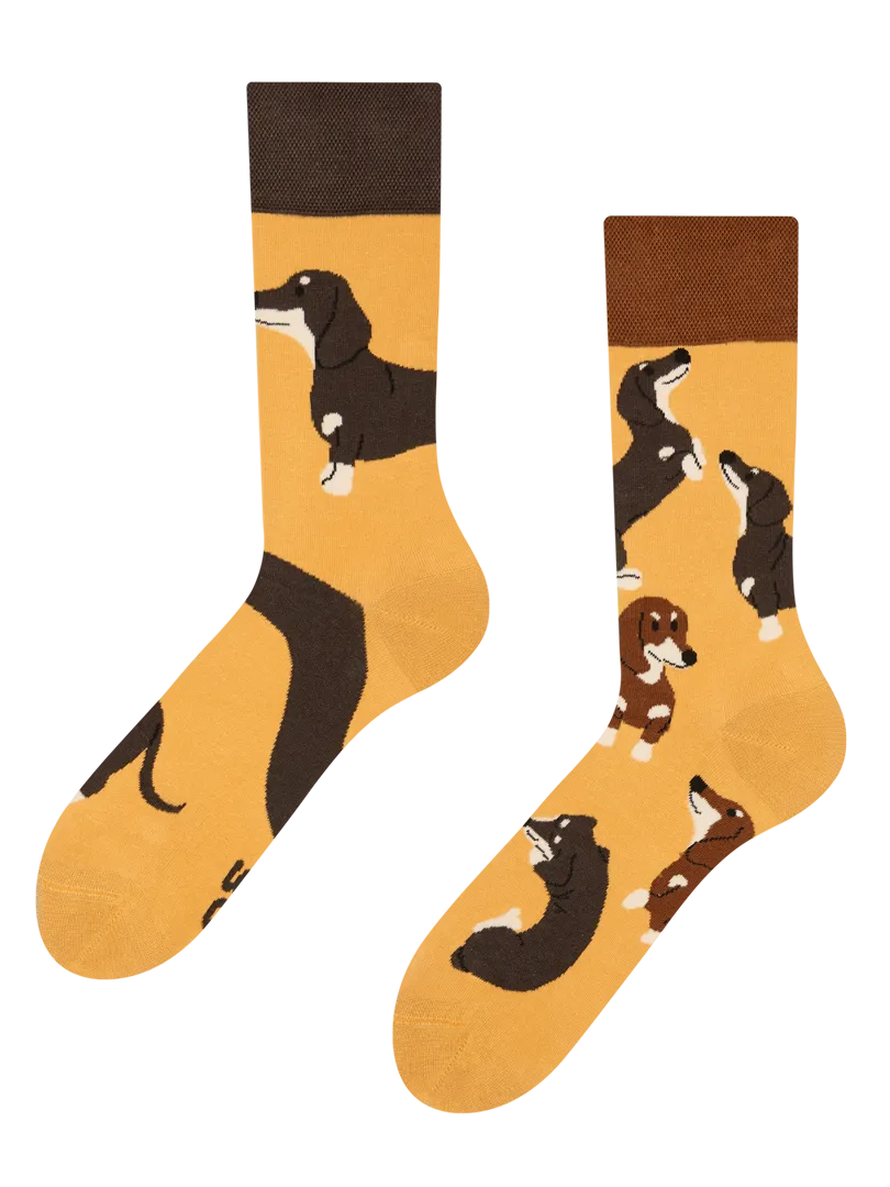 Chaussettes à motifs: Teckel mignon