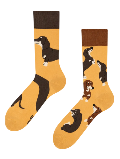 Chaussettes à motifs: Teckel mignon