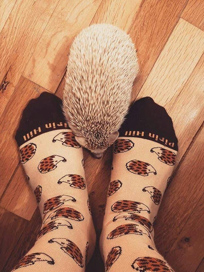 Chaussettes coton bio : Hérissons mignons