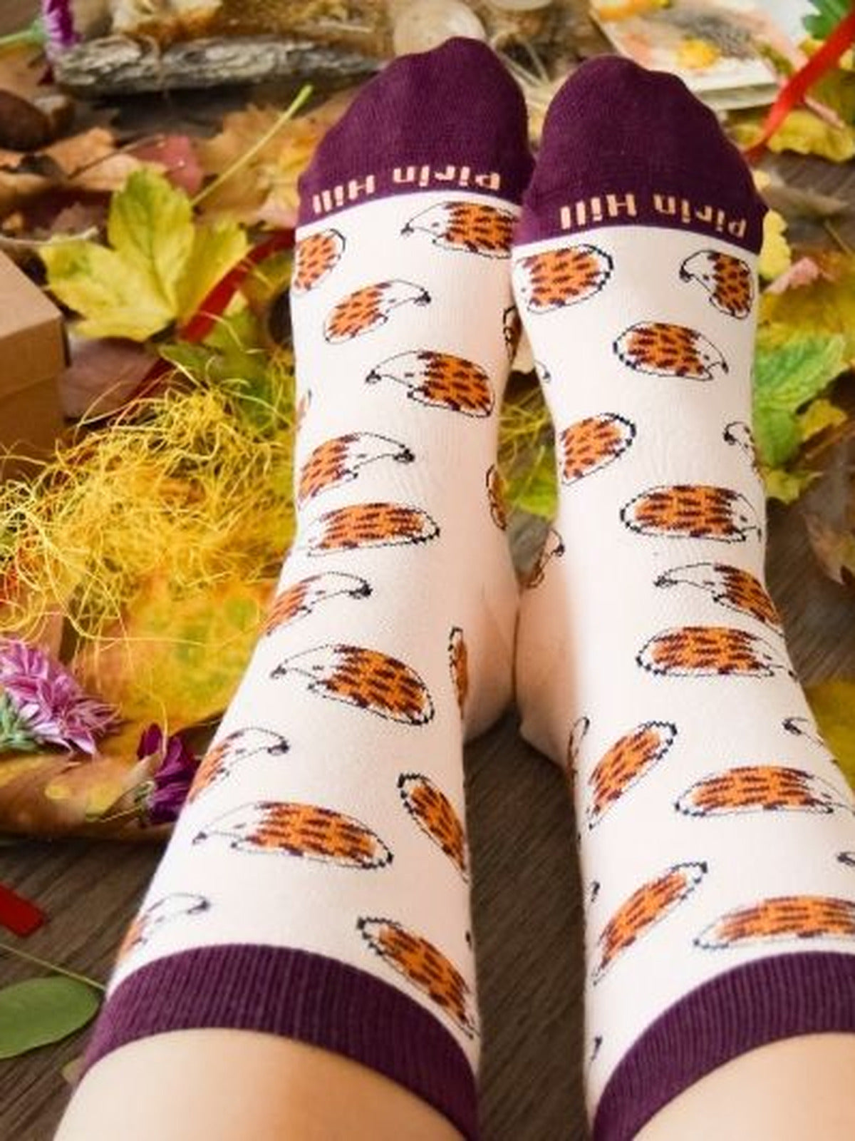 Chaussettes coton bio : Hérissons mignons