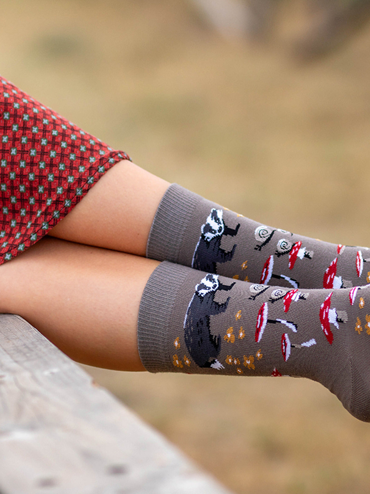 Chaussettes coton bio : Blaireau dans la nature