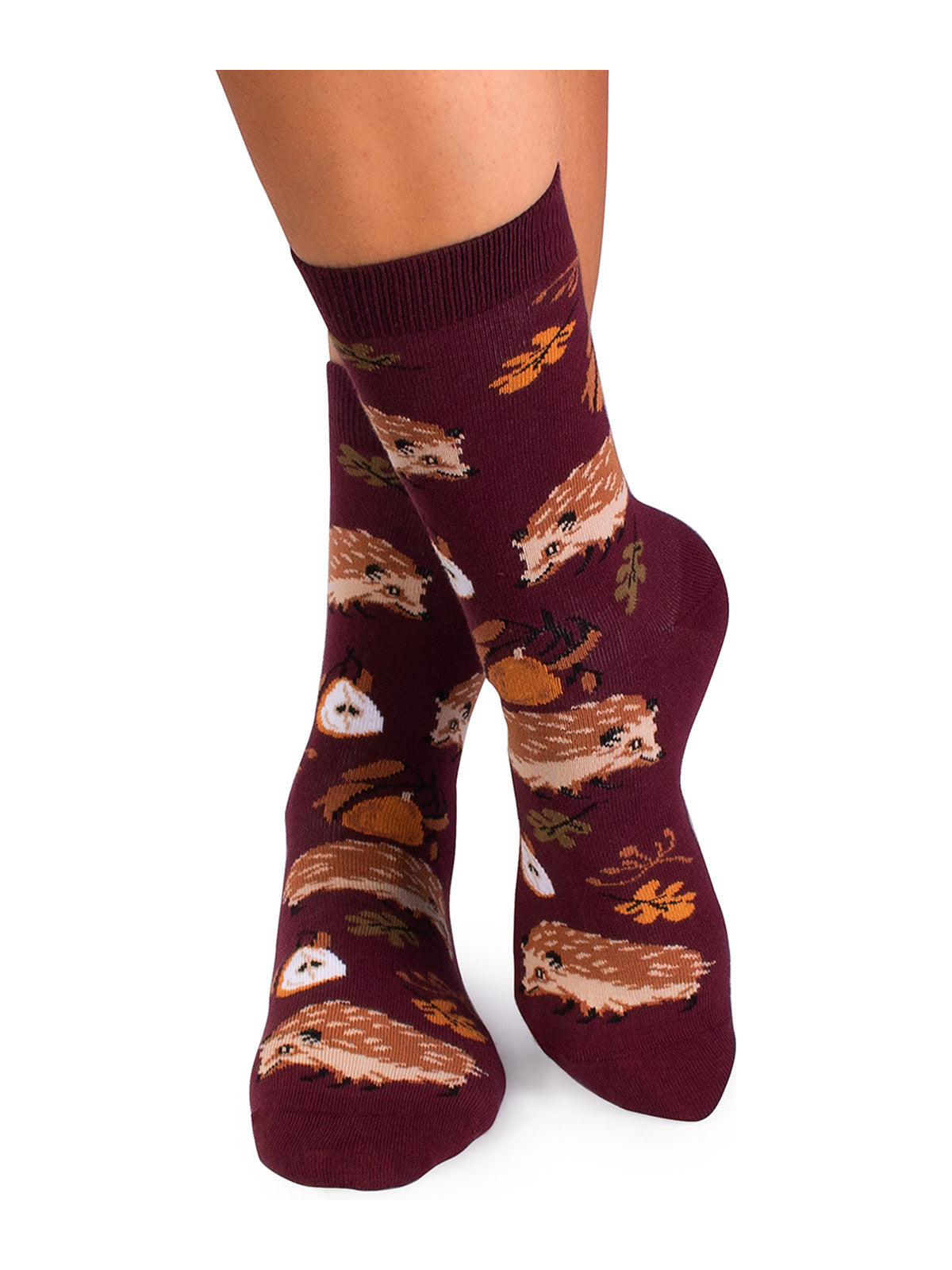 Chaussettes coton bio : Hérisson dans la nature