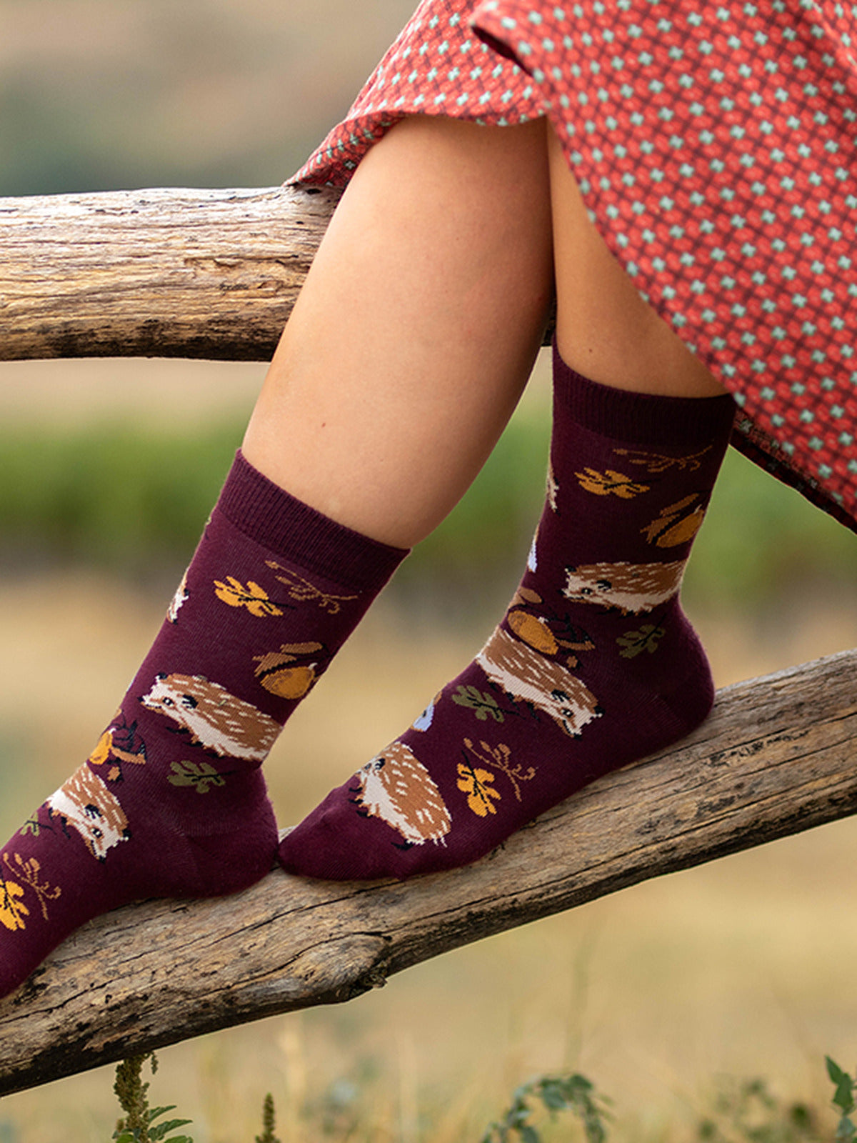 Chaussettes coton bio : Hérisson dans la nature