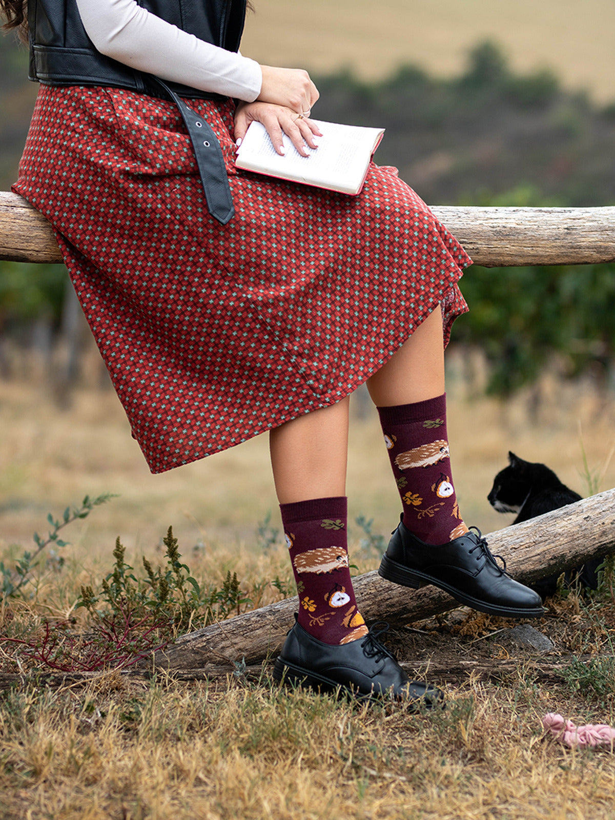 Chaussettes coton bio : Hérisson dans la nature