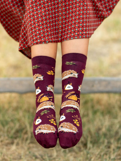 Chaussettes coton bio : Hérisson dans la nature
