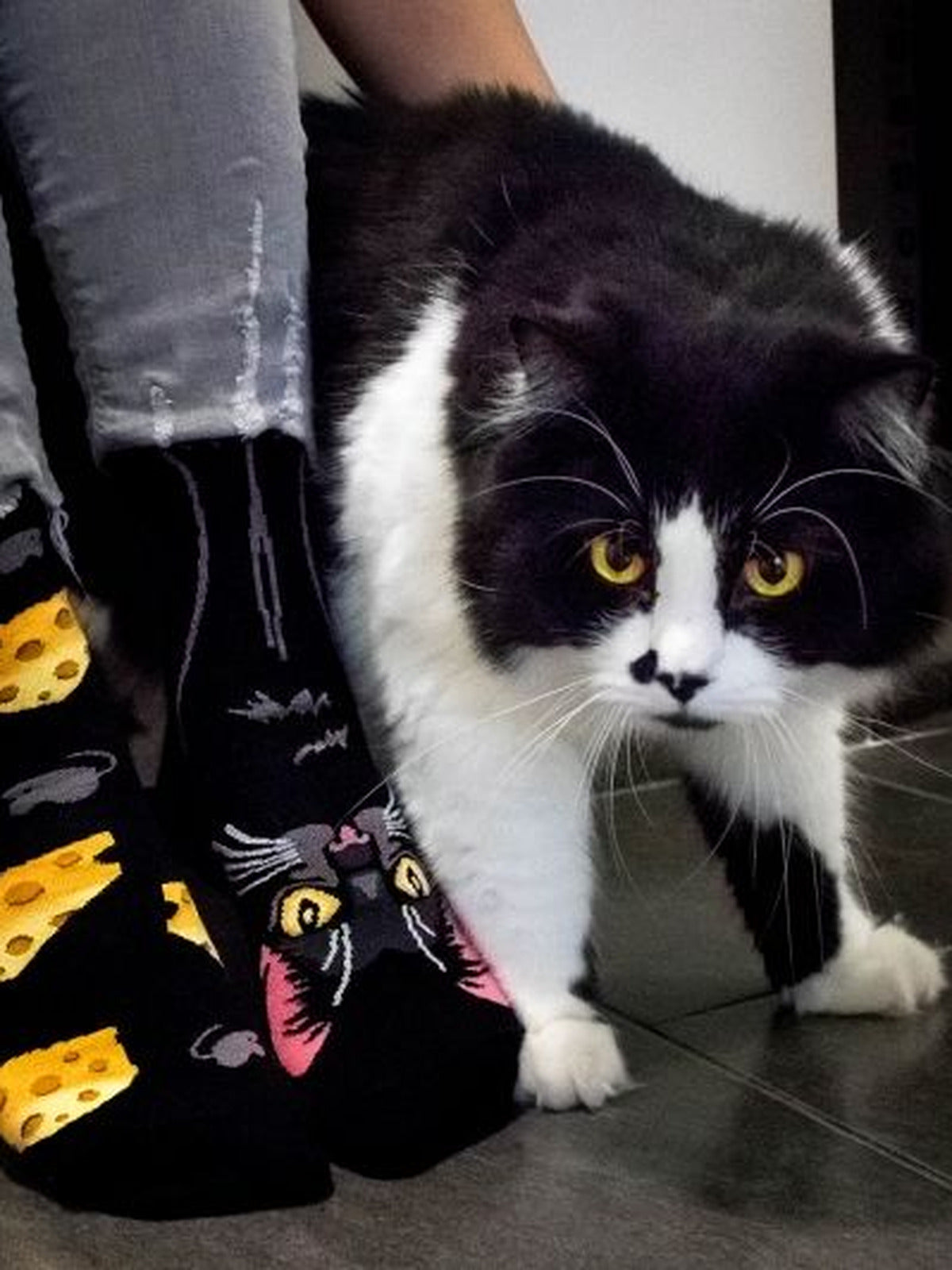 Chaussettes coton bio : Le chat noir