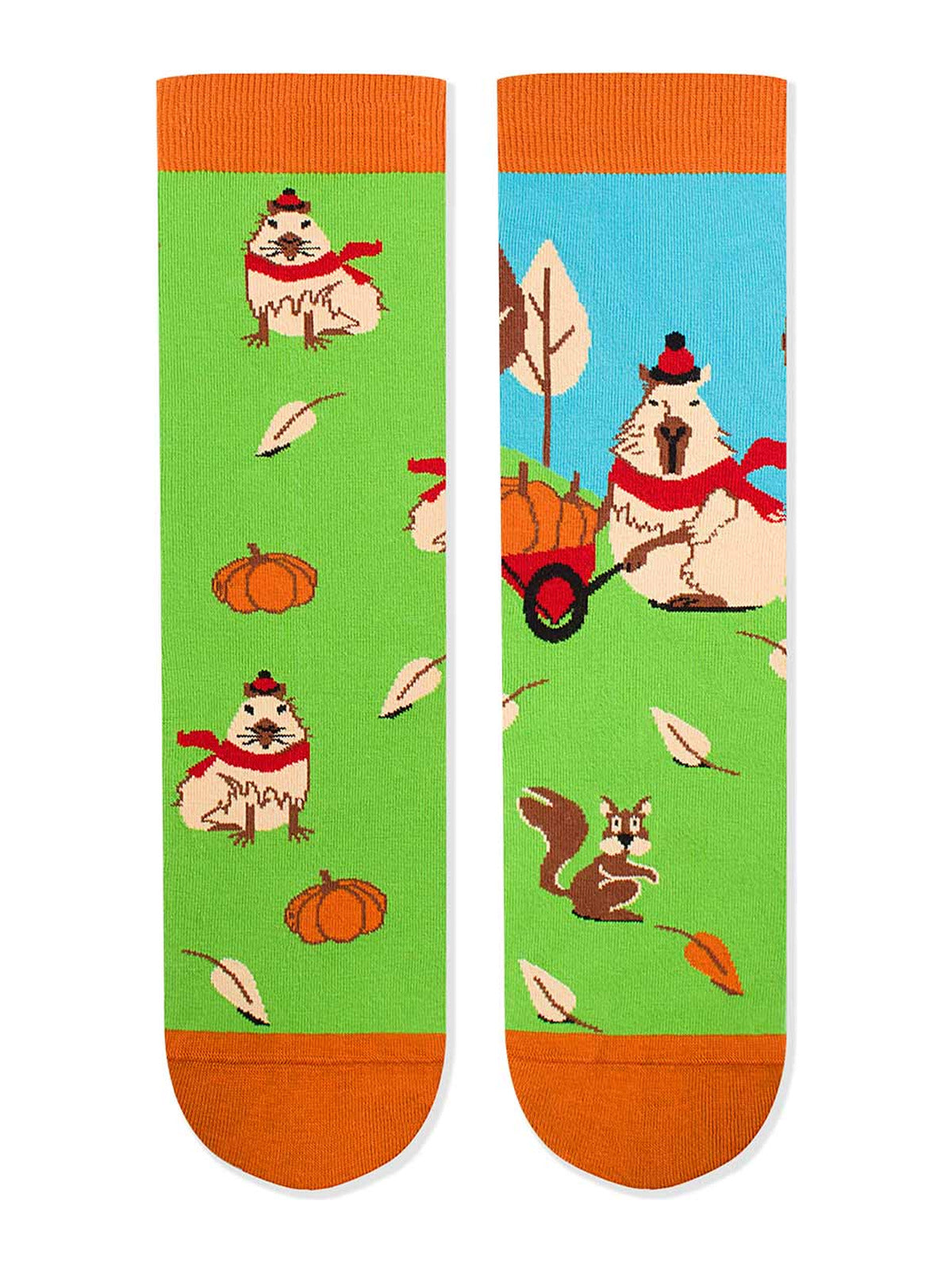 Chaussettes coton bio : Le joyeux Capibara