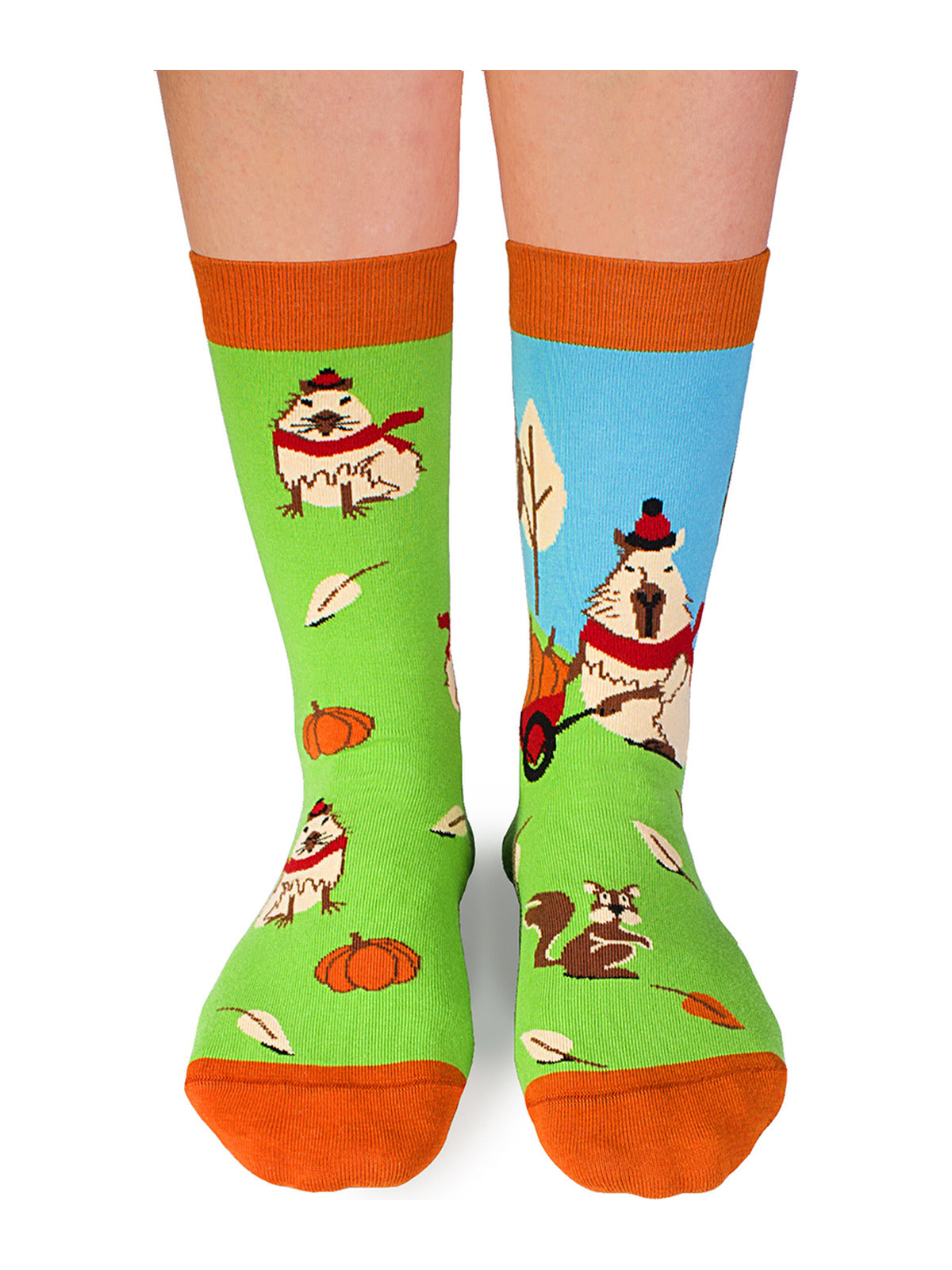 Chaussettes coton bio : Le joyeux Capibara