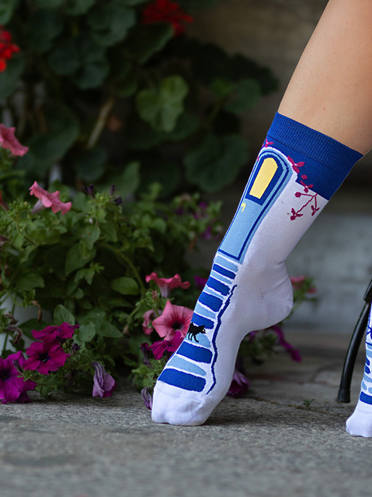 Chaussettes coton bio : Soirée Grecque