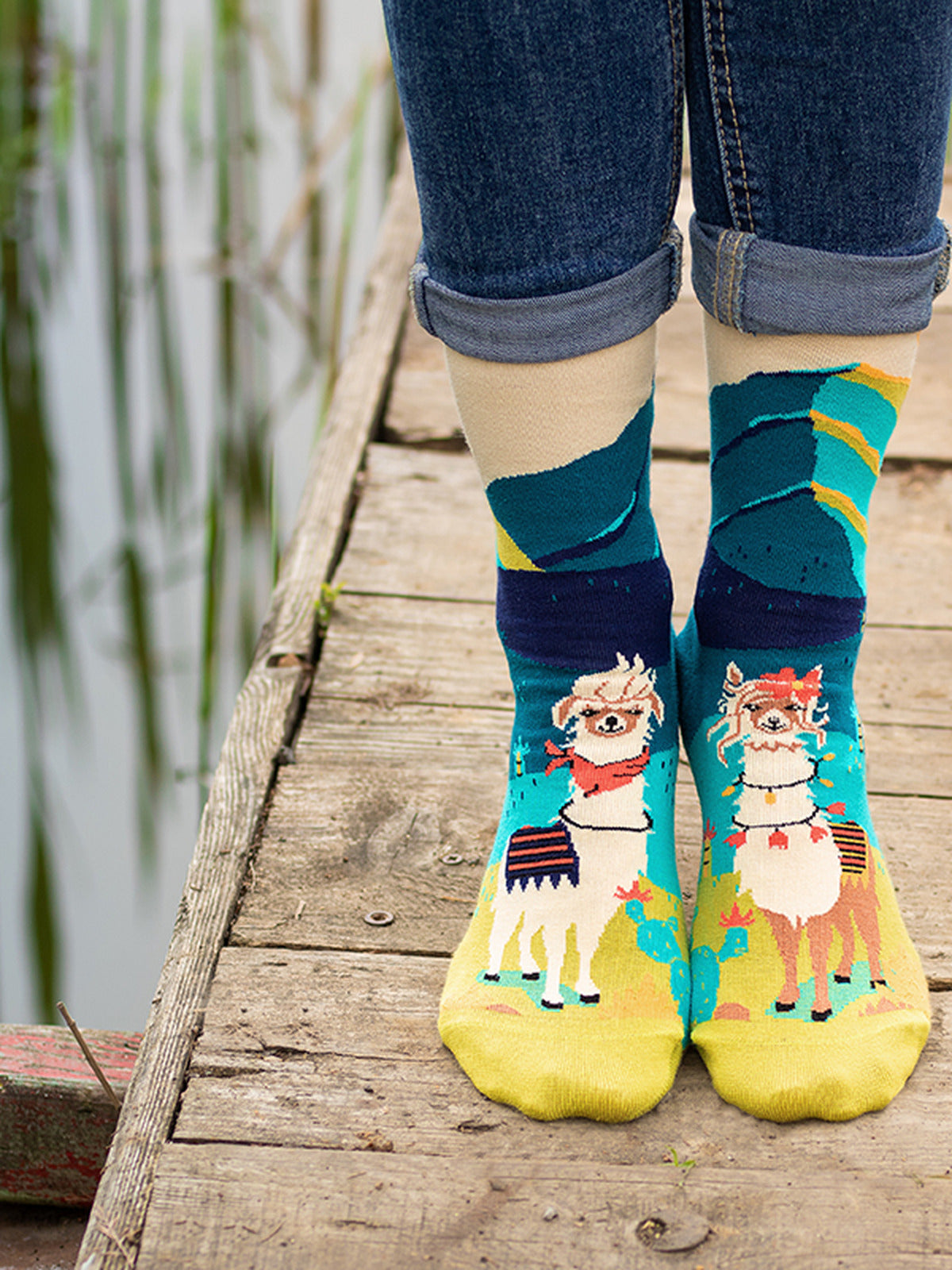 Chaussettes coton bio : Lamas amoureux