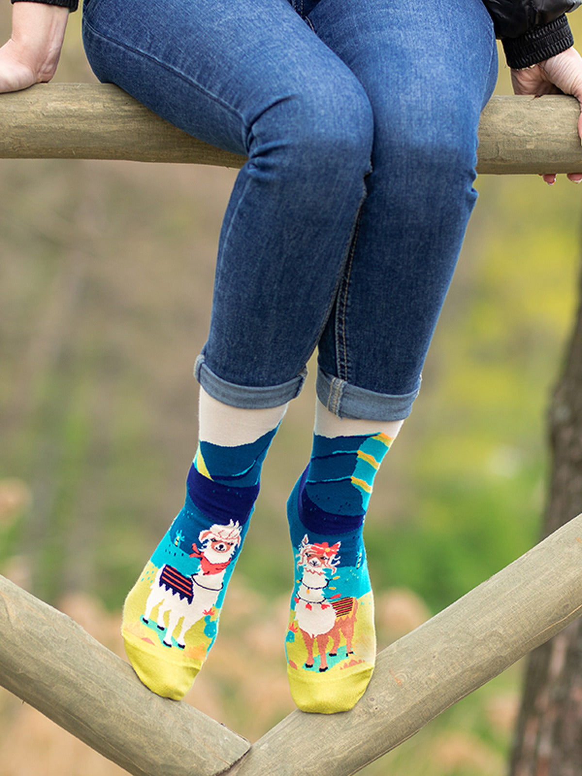Chaussettes coton bio : Lamas amoureux