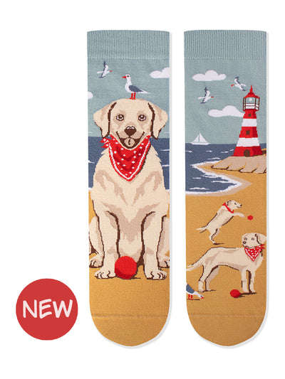 Chaussettes coton bio : Golden Retriever