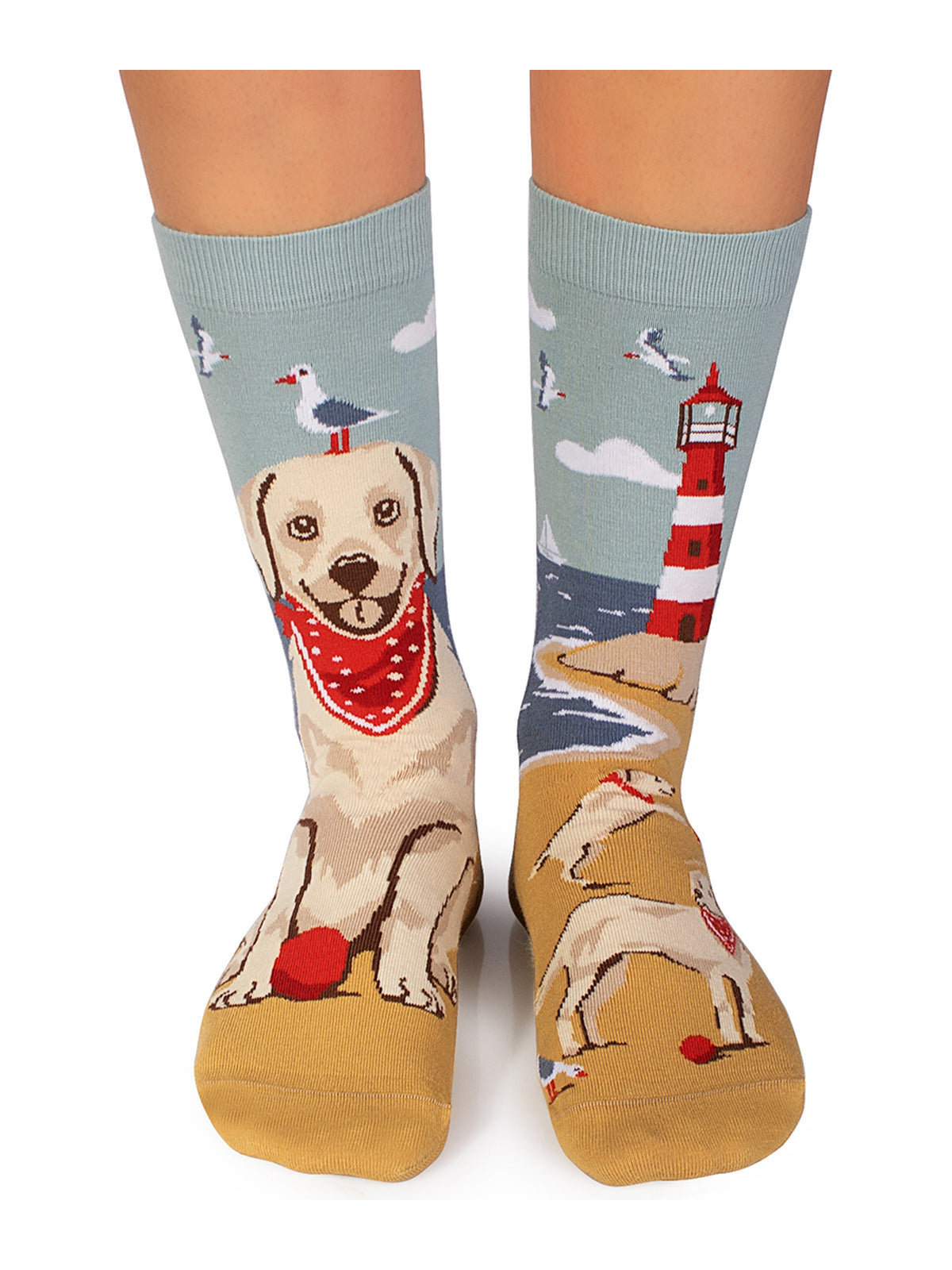 Chaussettes coton bio : Golden Retriever