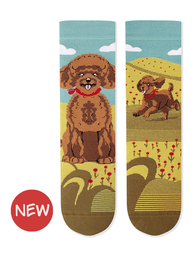 Chaussettes coton bio : Caniche