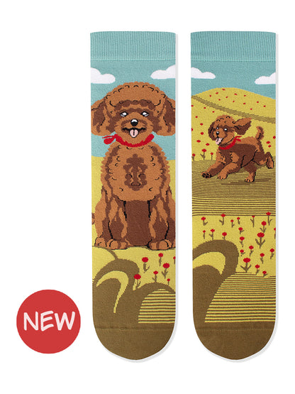 Chaussettes coton bio : Caniche