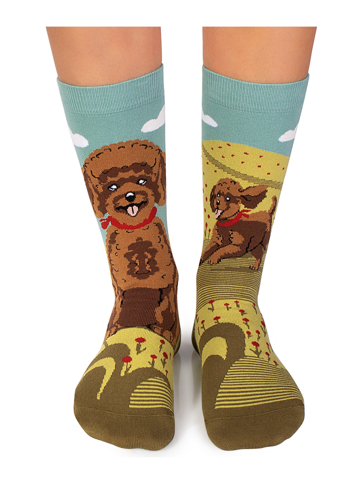 Chaussettes coton bio : Caniche