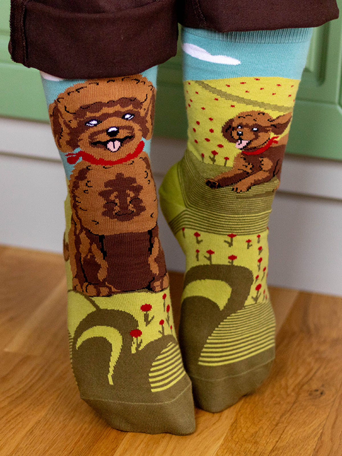 Chaussettes coton bio : Caniche