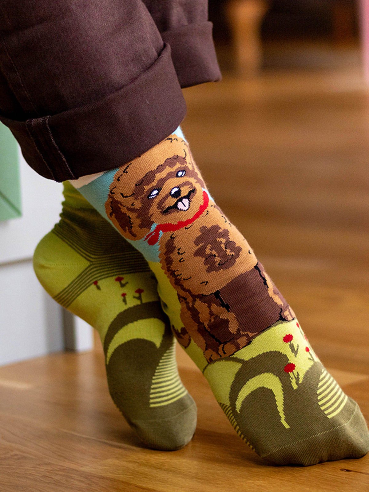 Chaussettes coton bio : Caniche