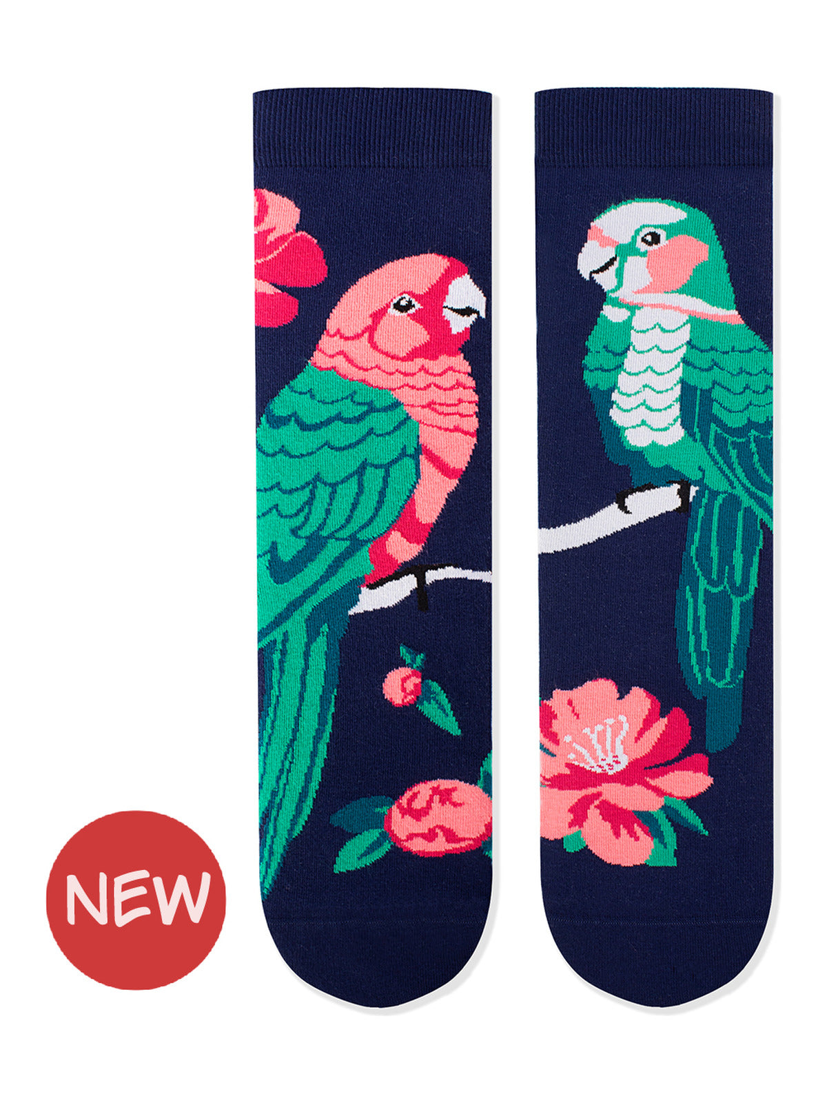 Chaussettes coton bio : Perroquets