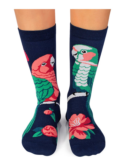 Chaussettes coton bio : Perroquets