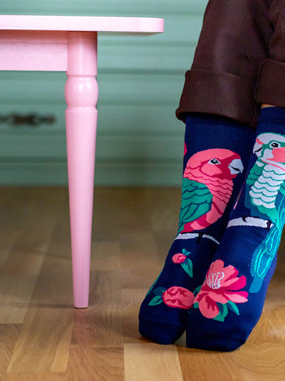 Chaussettes coton bio : Perroquets